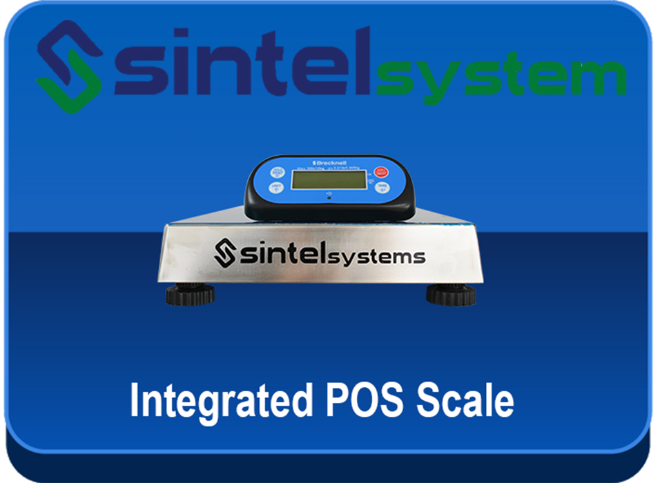 Frozen Yogurt POS Outage