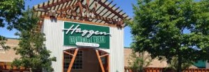 Haggen in Gelsons bids for closing haggen stores in california POS article